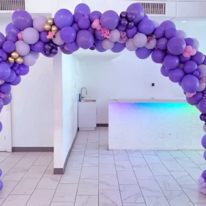 Elegant Balloon Arch